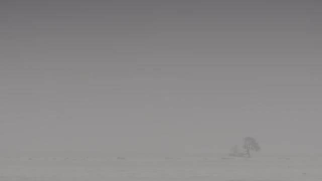 E3.Dust